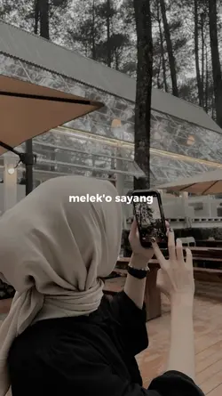 sigar x cover
