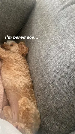 ask me anything
