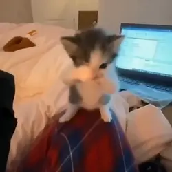 Dans et dans etttt