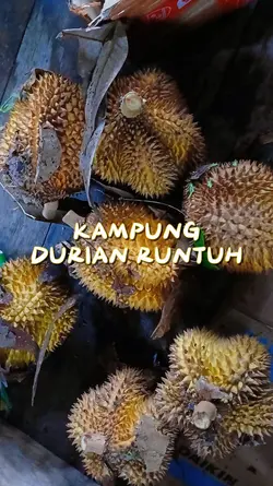 STORY BUAH DURIAN