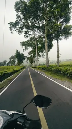 esthetic video
