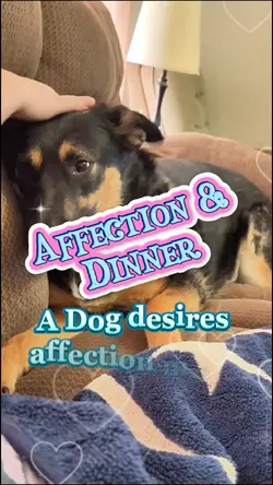 Affection vs dinner
