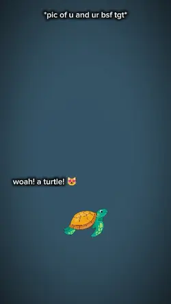 Woah a turtle