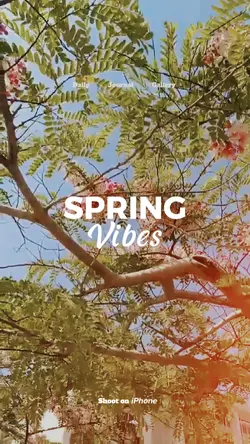 spring vibes