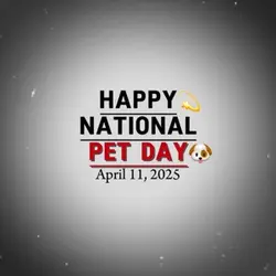 Pet day