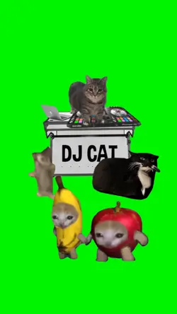 DJ CAT
