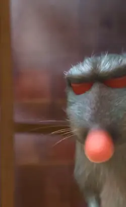 ratatouille part2