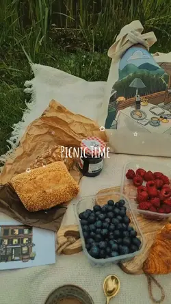 picnic time