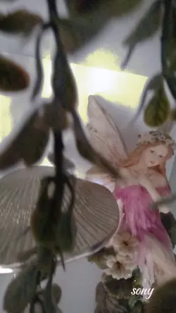 fairy ,hada