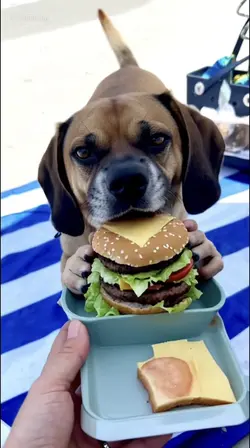 can i order a burger