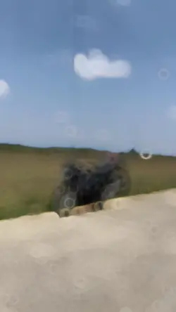 Motor Edit