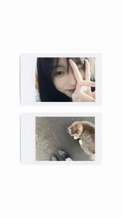 Polaroid 2 pics
