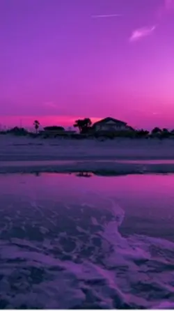 Paysage 