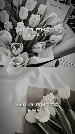 2รูป 1เพลง