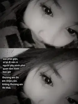 1ảnh + caption 