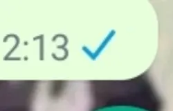 whatsapp lag