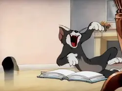 TOM & JERRY BOOK
