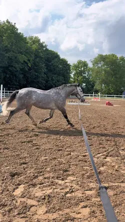 Love the way u walk😍