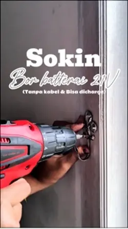 31video/foto