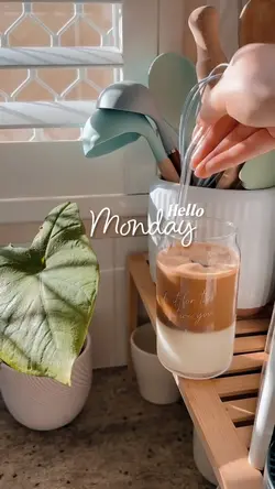hello monday
