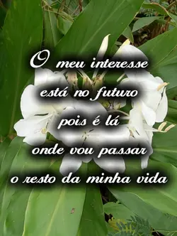 O meu interesse 