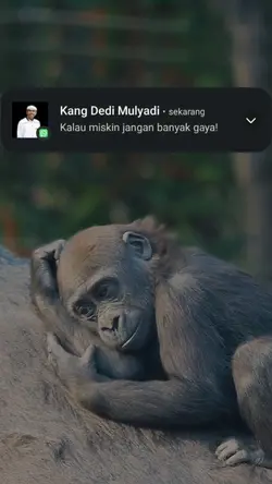 pesan kang Dedi Muly
