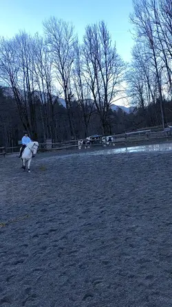 🤩
