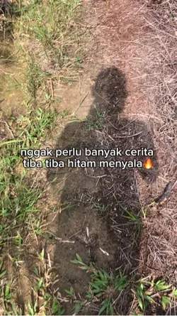 petani sawit