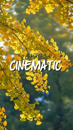 Cinematic 9 Videos