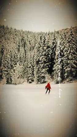 Merry Christmas❤️