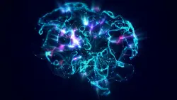 brain signals ²⁹