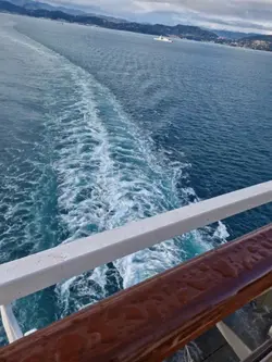 Cruise travel 