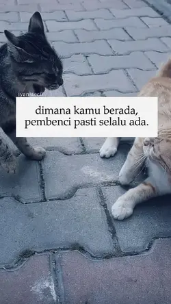 Dimana kamu berada