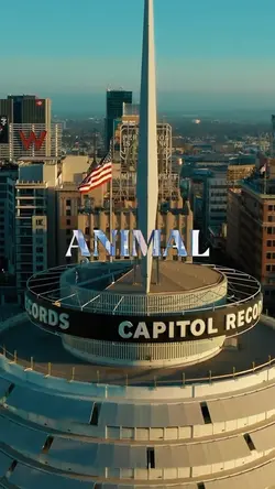 Animal | Lyrics