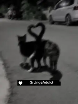 Im so glad he’s gone