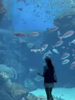 august dump