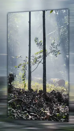 CINEMATIC KECE 
