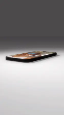 Portable 