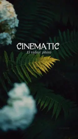 15 video cinematic