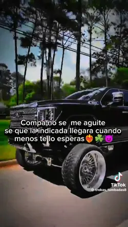 frases 