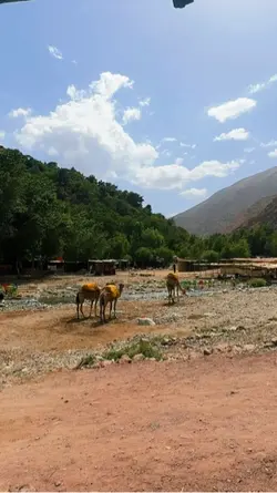 Mountain ourika