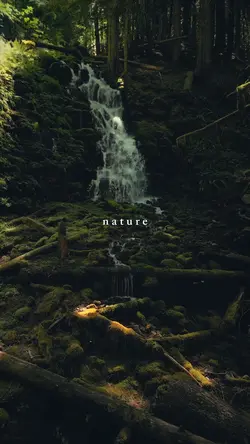 nature,therapy