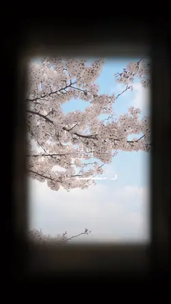 아련한 프레임