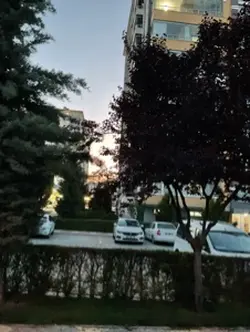 keşfet mi