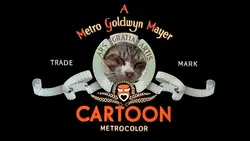 tom and jerry