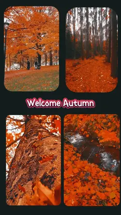 Welcome Autumn