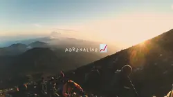 Adrenaline