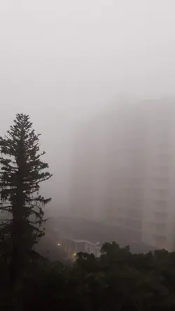 Frio do taraio 