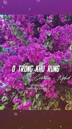 Ở TRONG KHU RỪNG