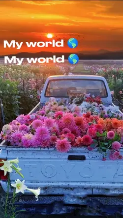 word love day 